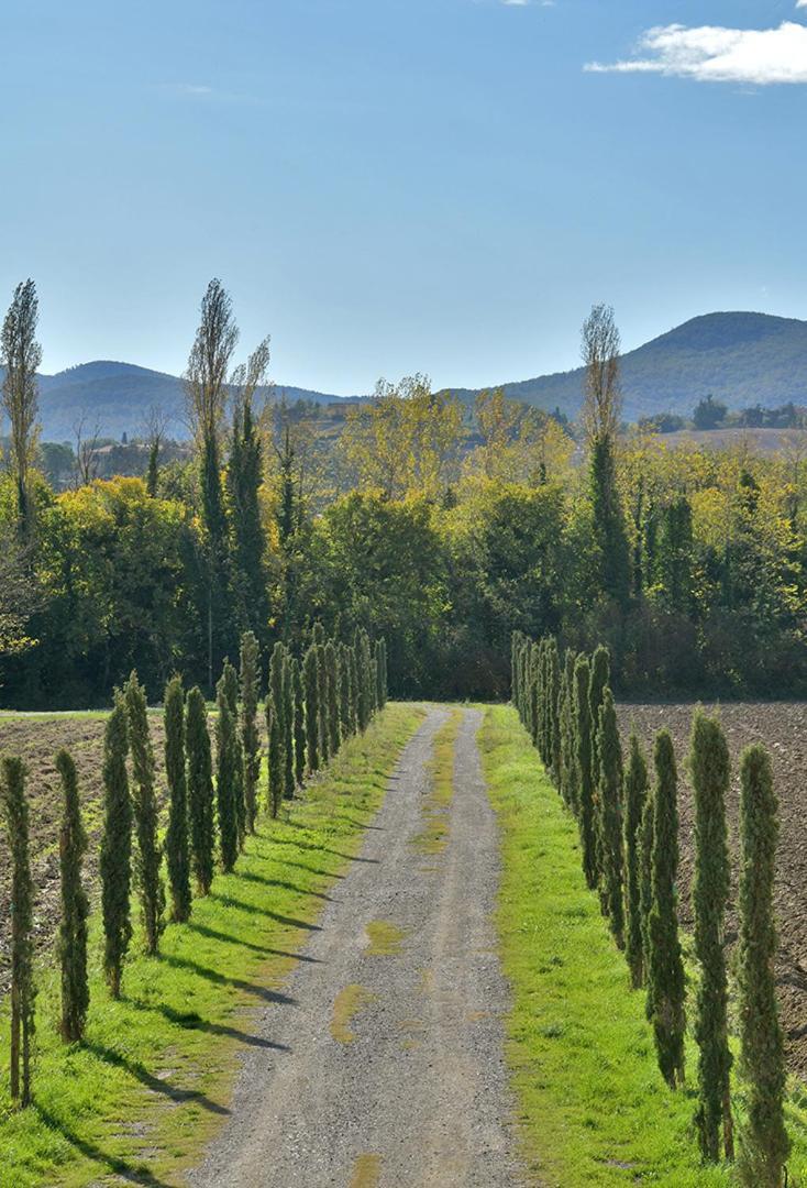 Podere La Querciola Guardistallo Exteriör bild