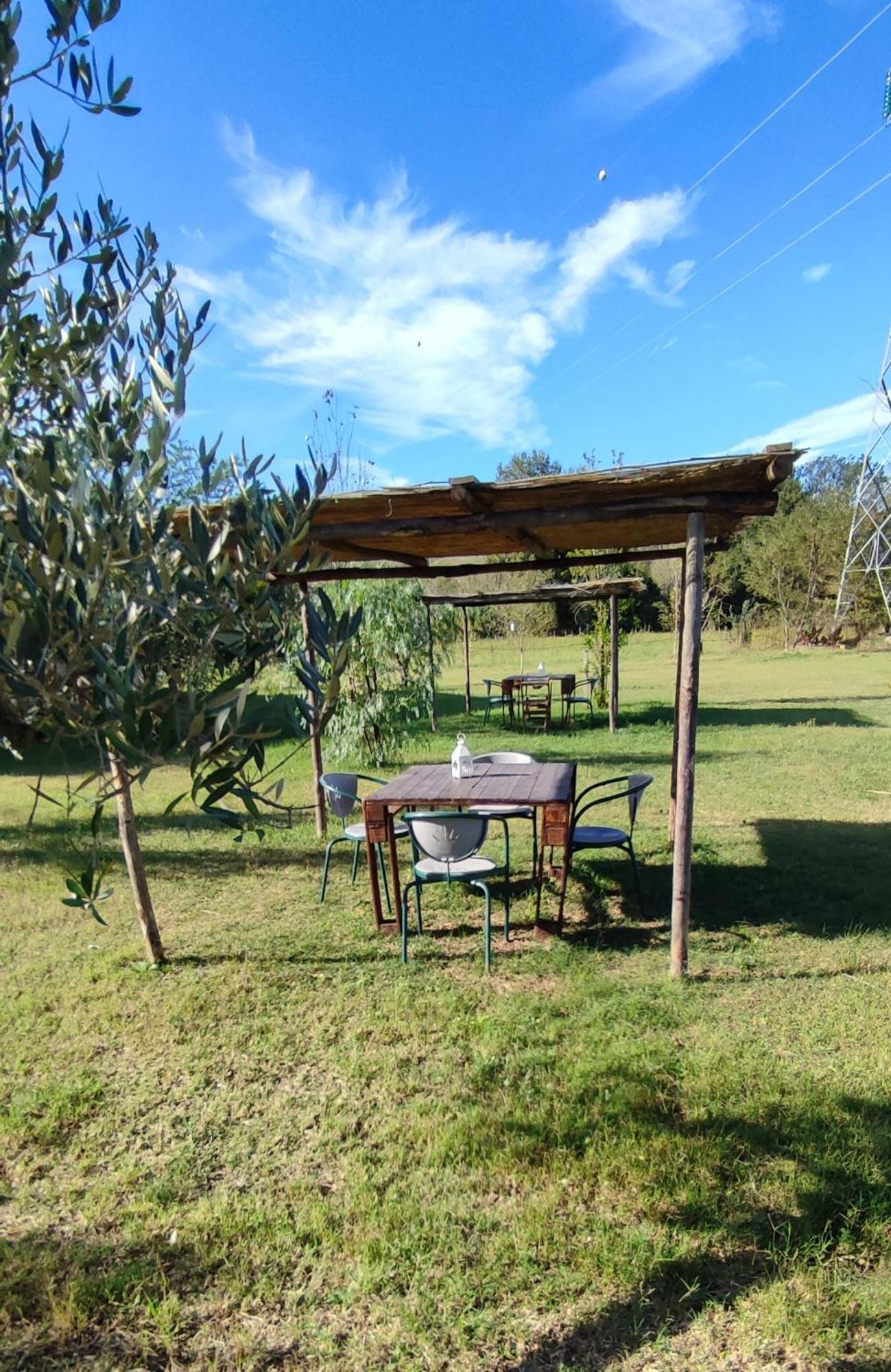 Podere La Querciola Guardistallo Exteriör bild